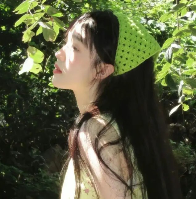 监察